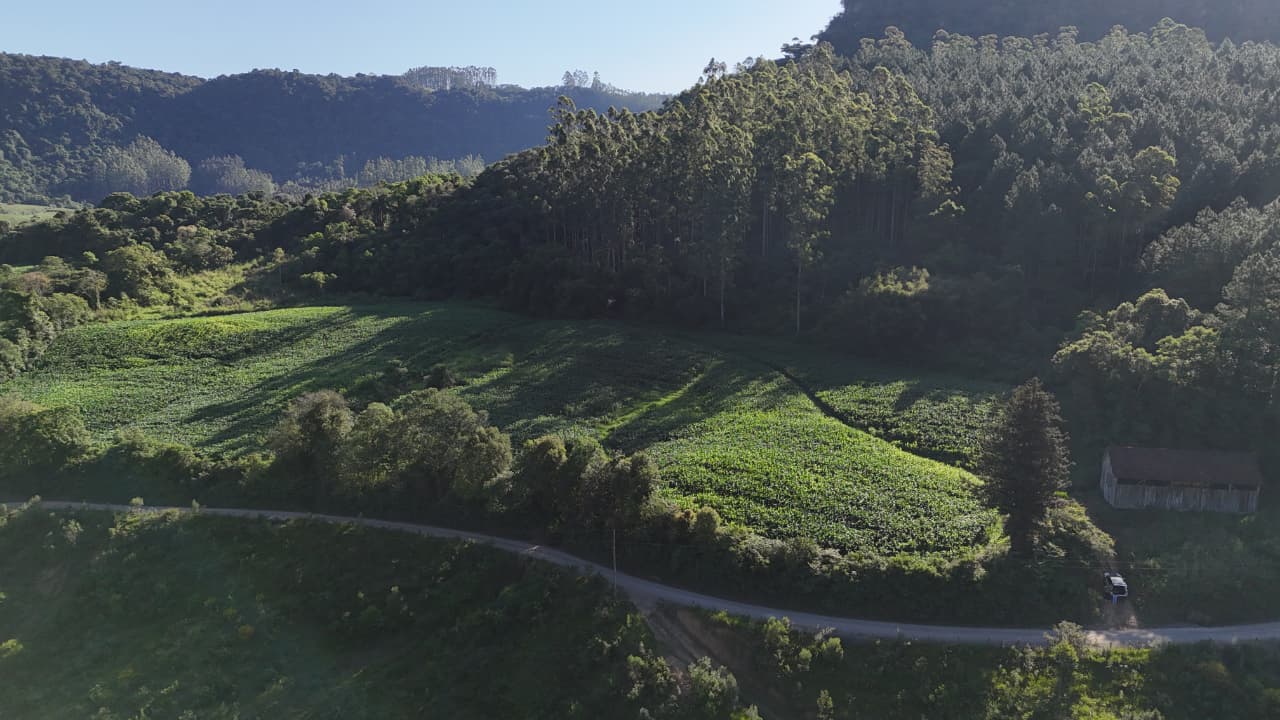 Área Rural à venda no Ribeirão da Onça: 
