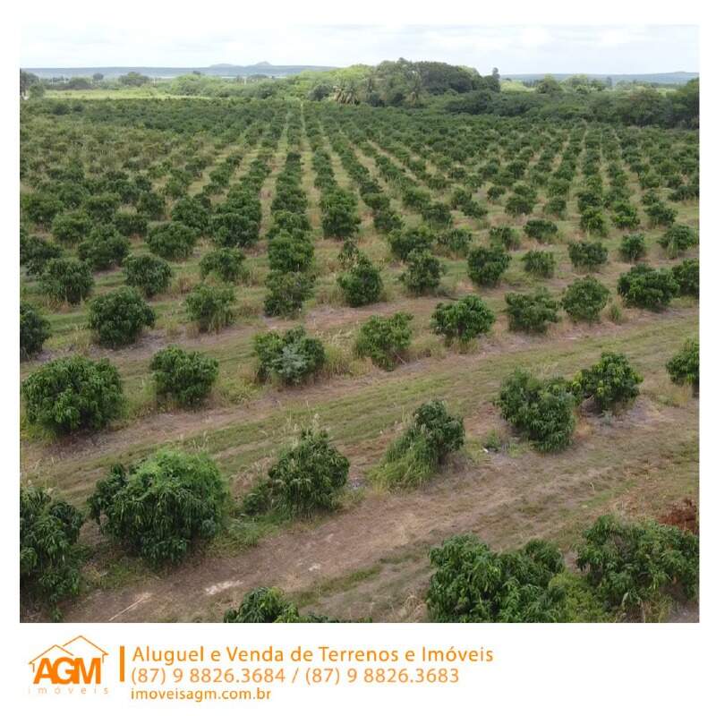 Fazenda à venda no Santana do Sobrado: 