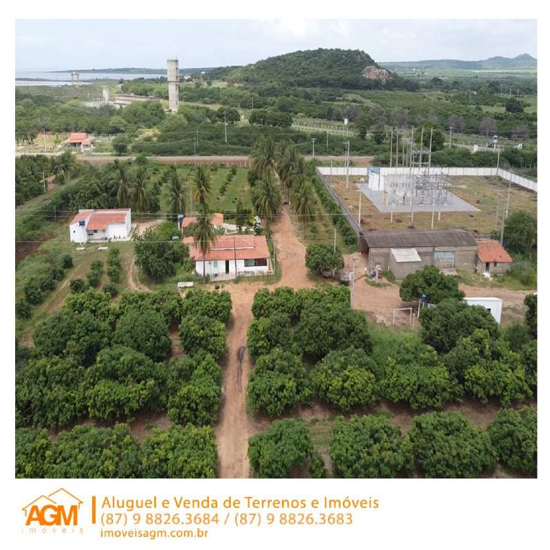 Fazenda à venda no Santana do Sobrado: 
