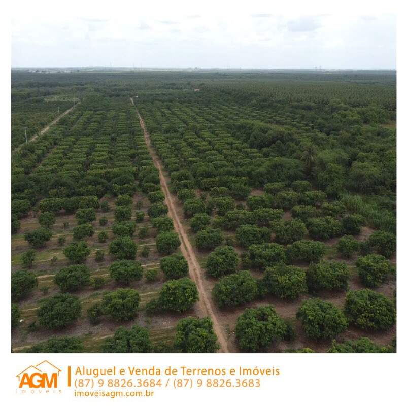 Fazenda à venda no Santana do Sobrado: 