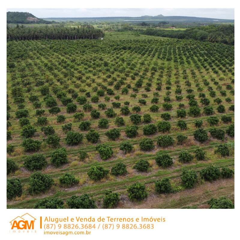 Fazenda à venda no Santana do Sobrado: 