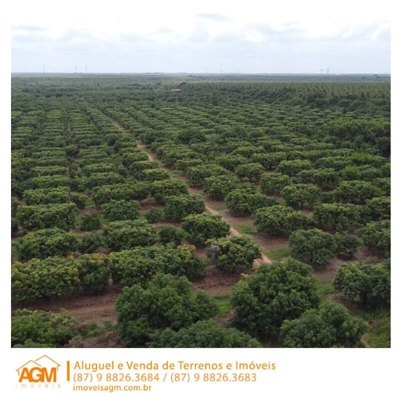 Fazenda à venda no Santana do Sobrado: 