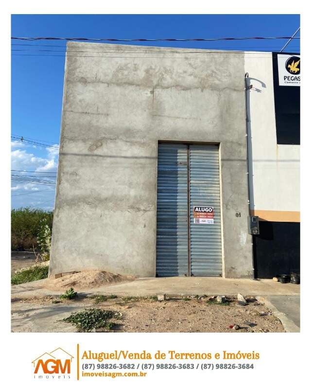 Galpão para aluguel no Dom Avelar: 