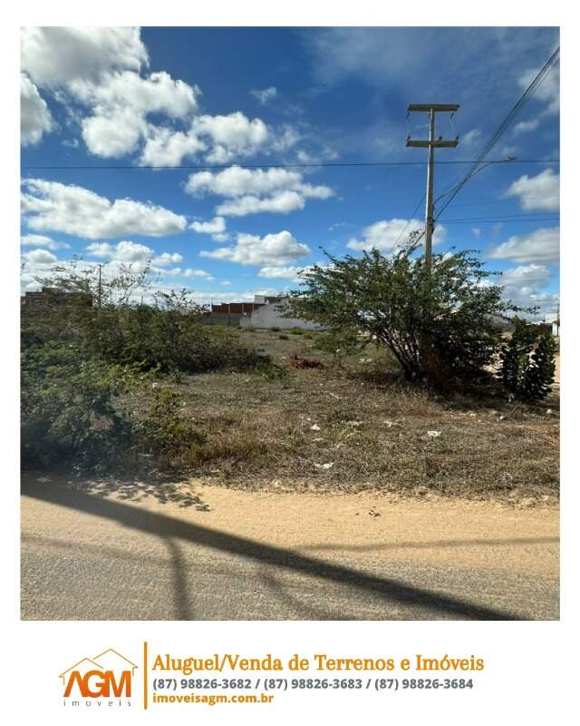 Terreno para aluguel no José e Maria: 