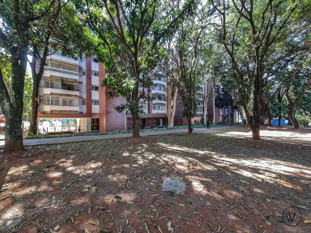 Apartamento para aluguel no Asa Sul: 