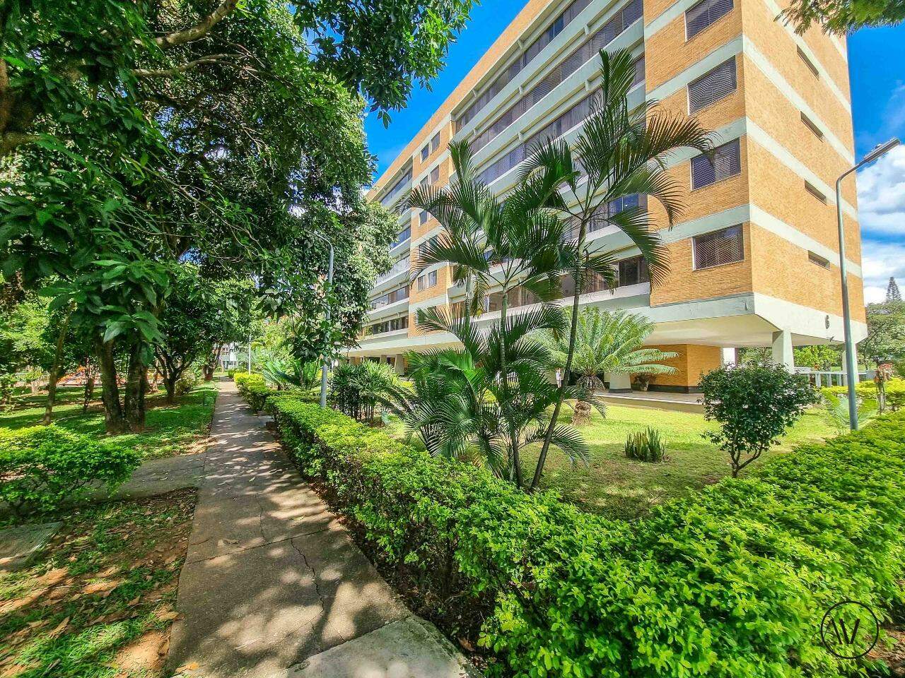 Apartamento para aluguel no Asa Norte: 
