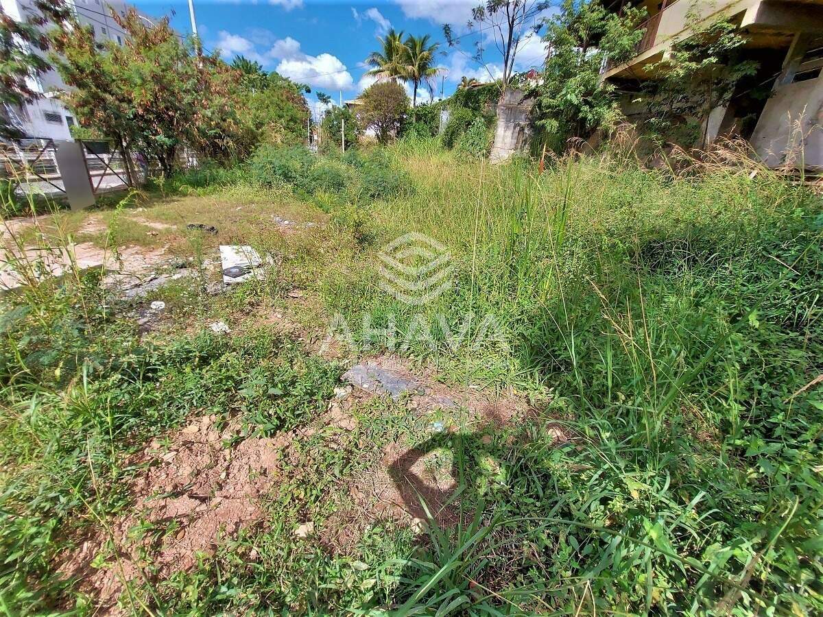 Lote à venda no Santa Amélia: LOTE