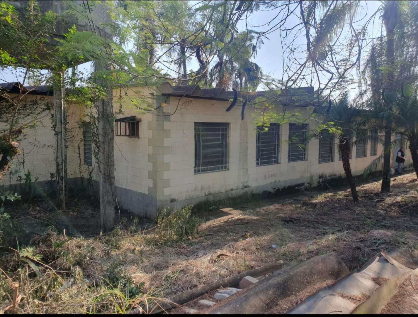 Armazém/Barracão para aluguel no Village Campinas: 
