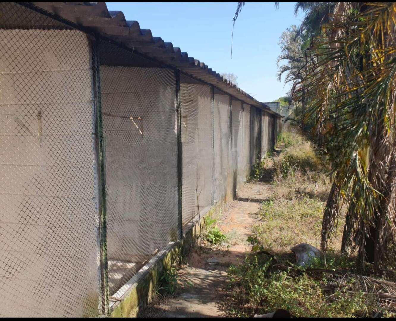 Armazém/Barracão para aluguel no Village Campinas: 