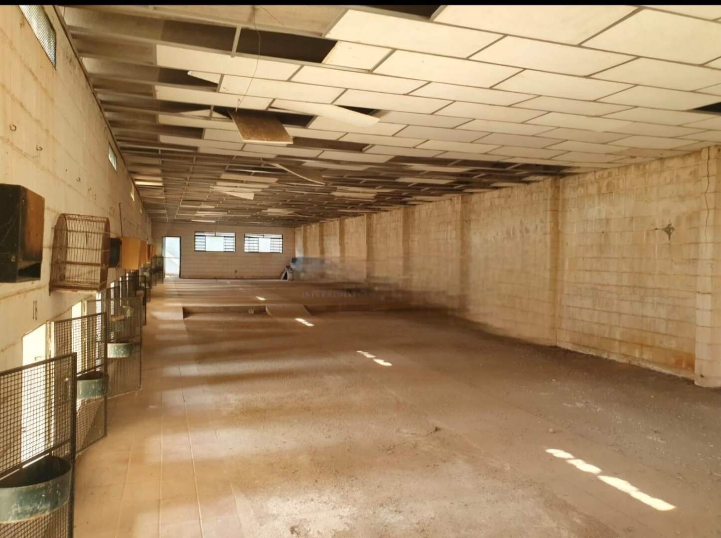 Armazém/Barracão para aluguel no Village Campinas: 