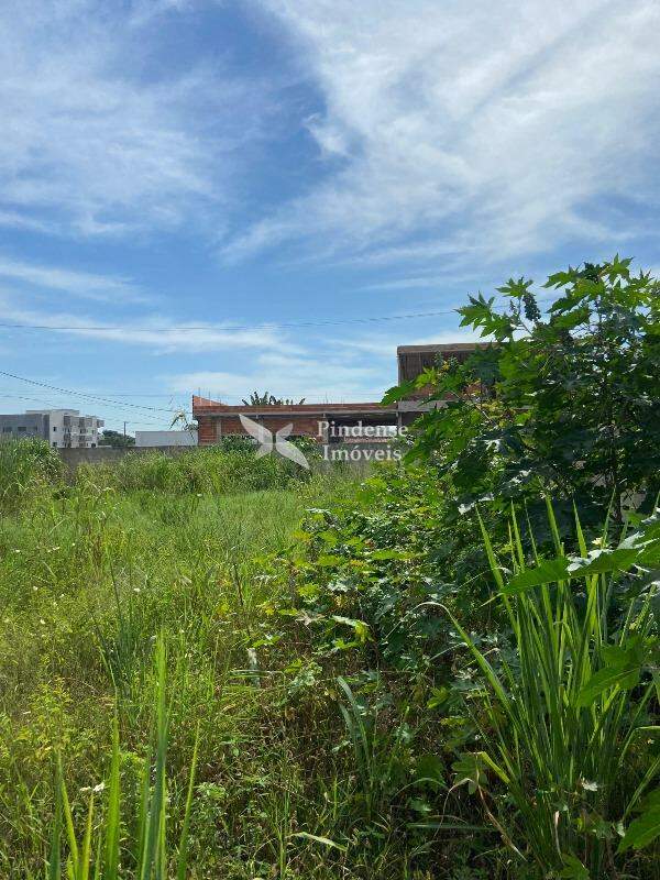 Terreno para aluguel no São Francisco Jacaraipe: 