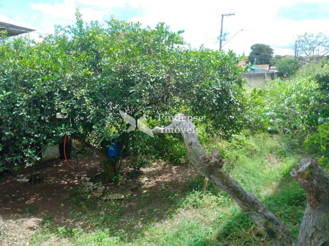 Terreno para aluguel no Das Laranjeiras: 
