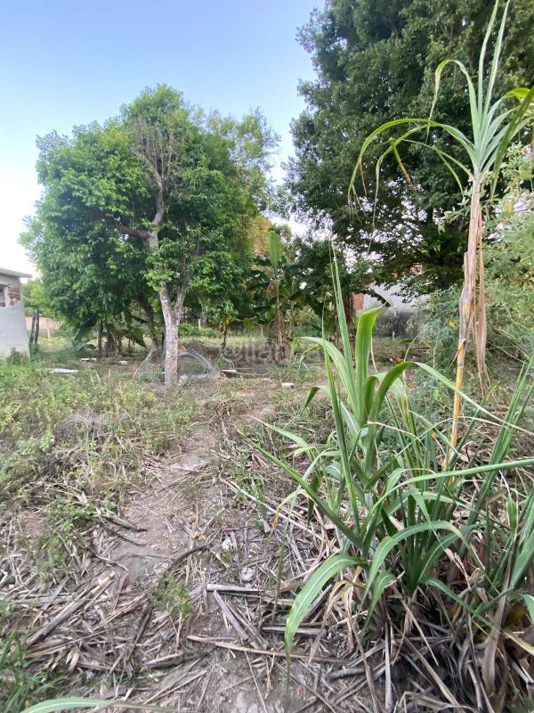 TERRENO à venda no BALNEARIO PONTA DA FRUTA: 