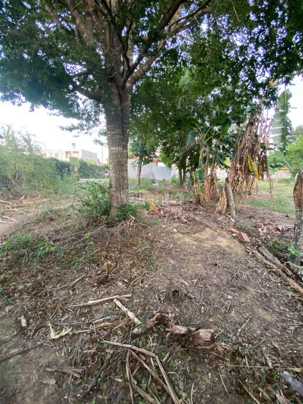 TERRENO à venda no BALNEARIO PONTA DA FRUTA: 
