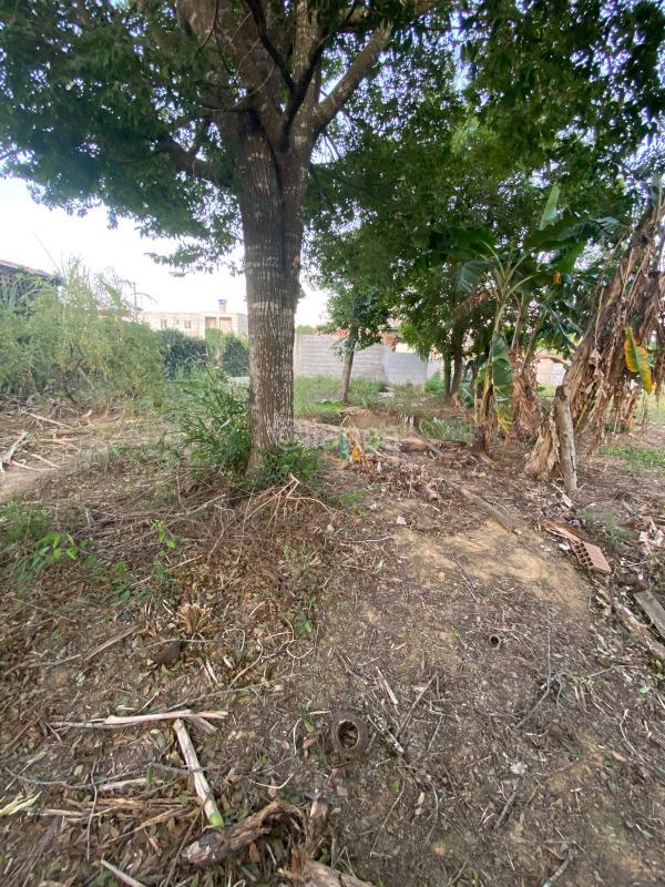 TERRENO à venda no BALNEARIO PONTA DA FRUTA: 
