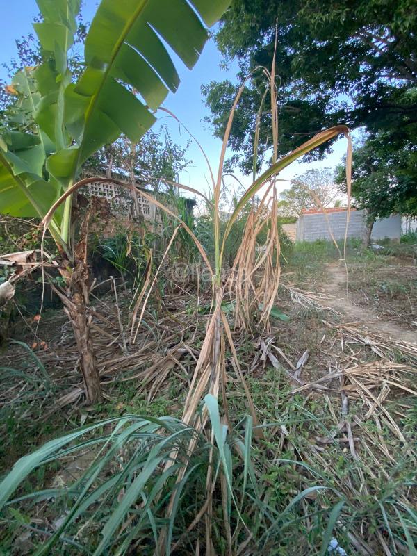 TERRENO à venda no BALNEARIO PONTA DA FRUTA: 