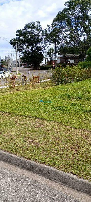 Terreno à venda, 370m² - Foto 6