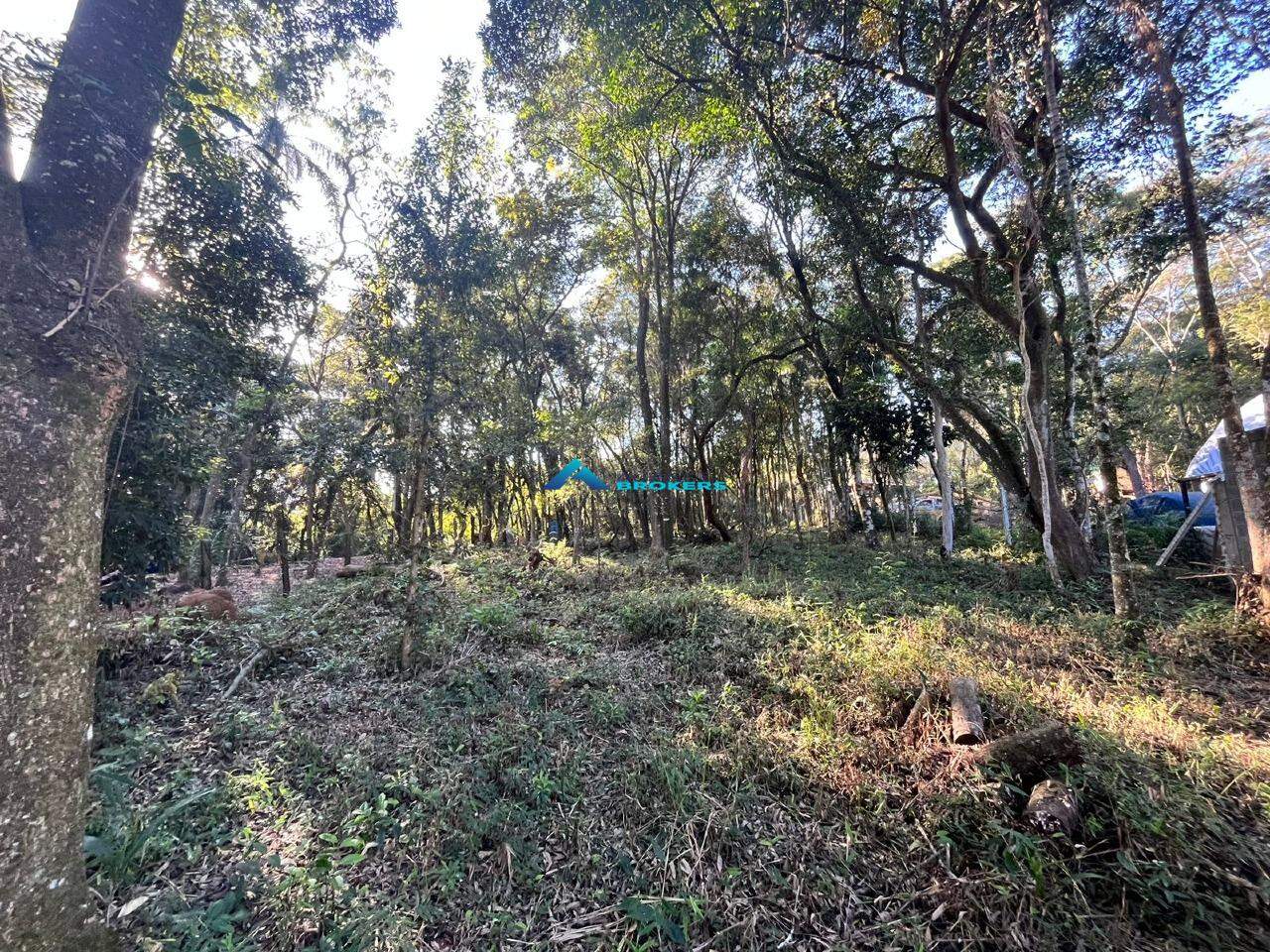 Terreno à venda, 2400m² - Foto 11