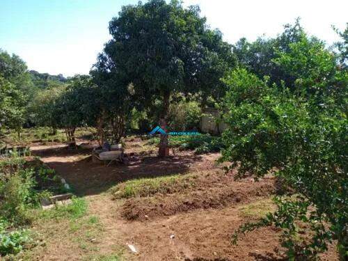 Fazenda à venda com 2 quartos, 95m² - Foto 1