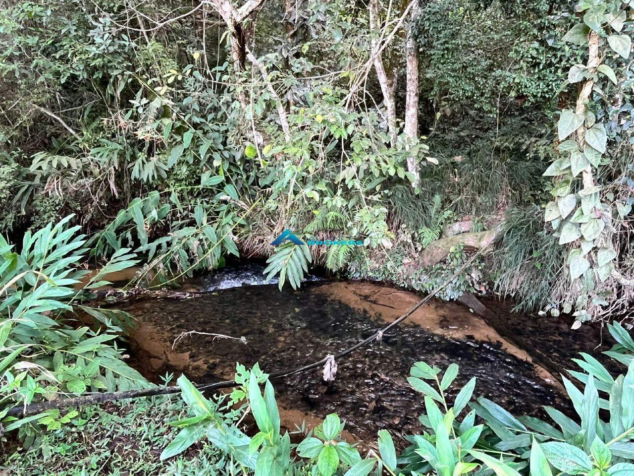 Fazenda à venda com 6 quartos, 400m² - Foto 23