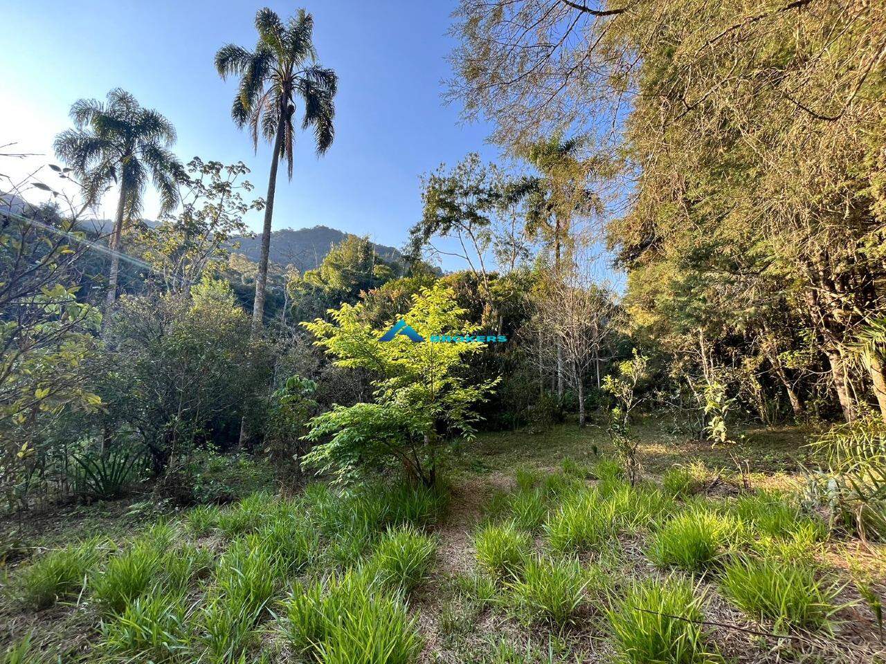 Fazenda à venda com 6 quartos, 600m² - Foto 2