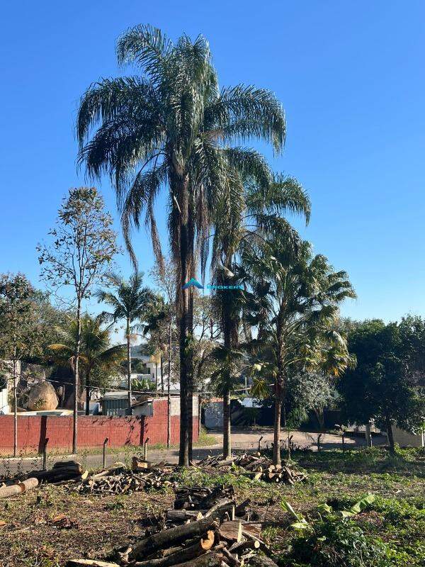 Terreno, 878 m² - Foto 1