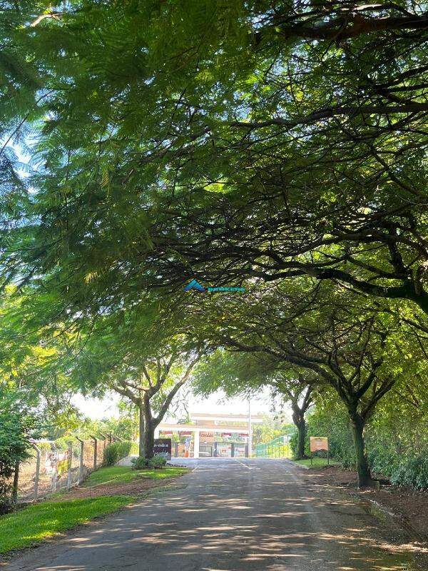 Terreno, 1000 m² - Foto 1