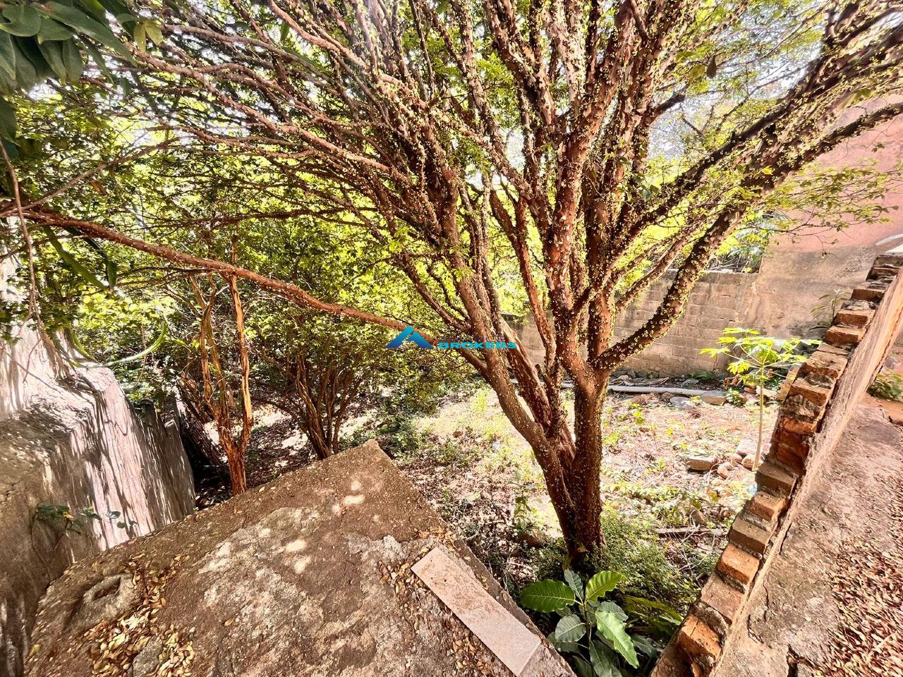 Casa, 3 quartos, 210 m² - Foto 21