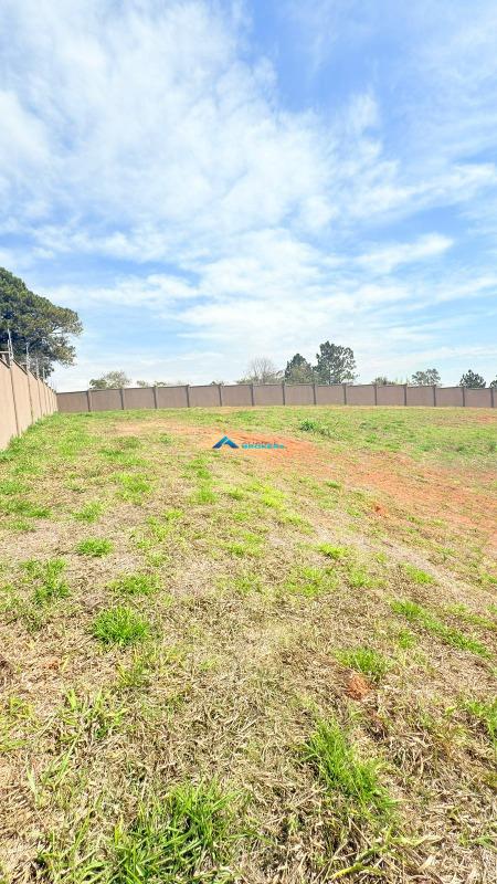 Terreno, 1000 m² - Foto 4