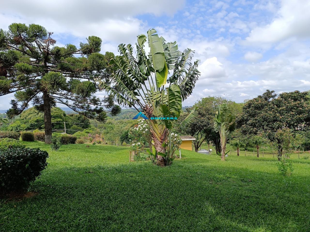 Chácara, 1 hectares - Foto 6