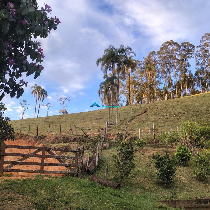 Sítio, 15 hectares - Foto 25