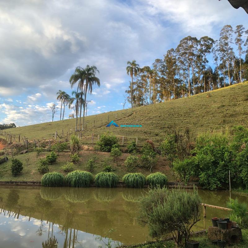 Sítio, 15 hectares - Foto 6