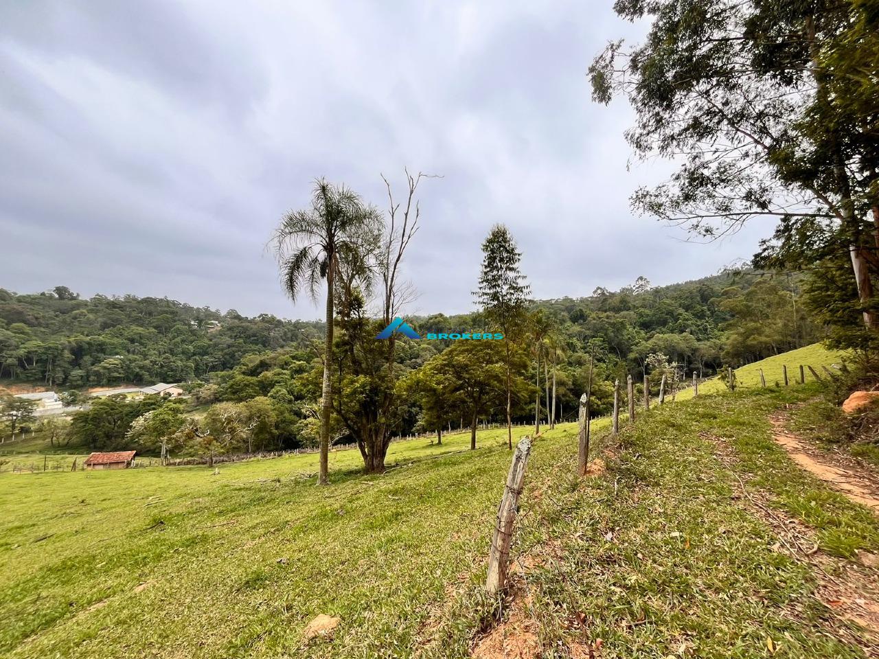 Sítio, 15 hectares - Foto 13