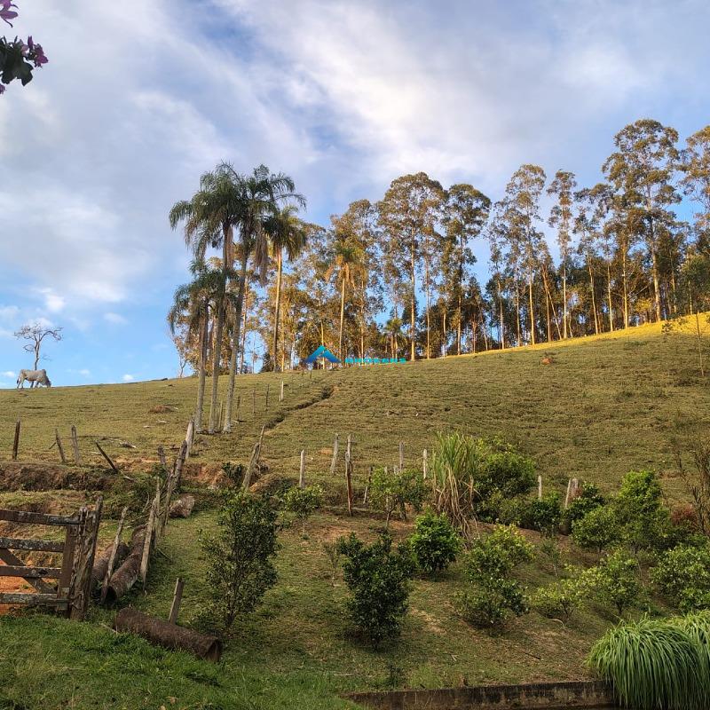 Sítio, 15 hectares - Foto 24