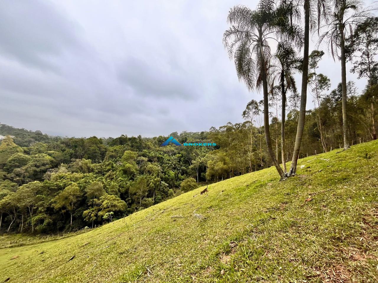 Sítio, 15 hectares - Foto 10