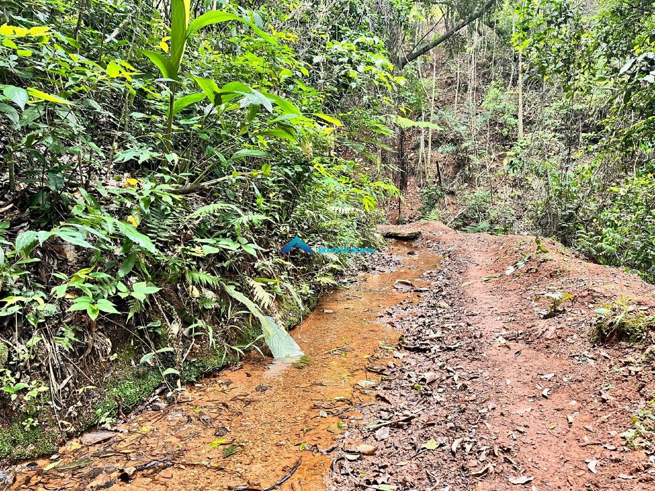 Sítio, 15 hectares - Foto 18