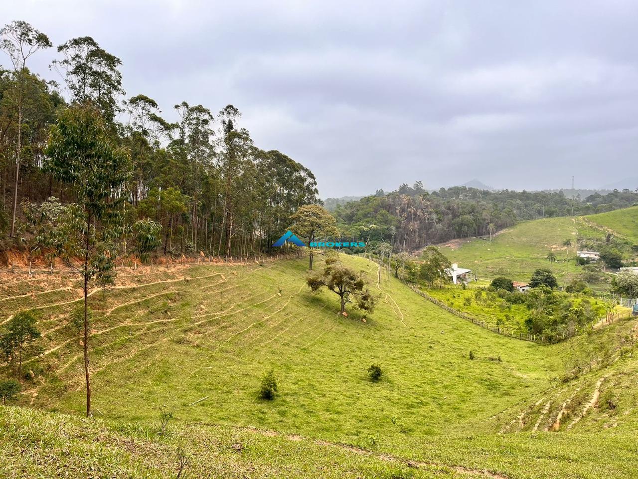 Sítio, 15 hectares - Foto 15