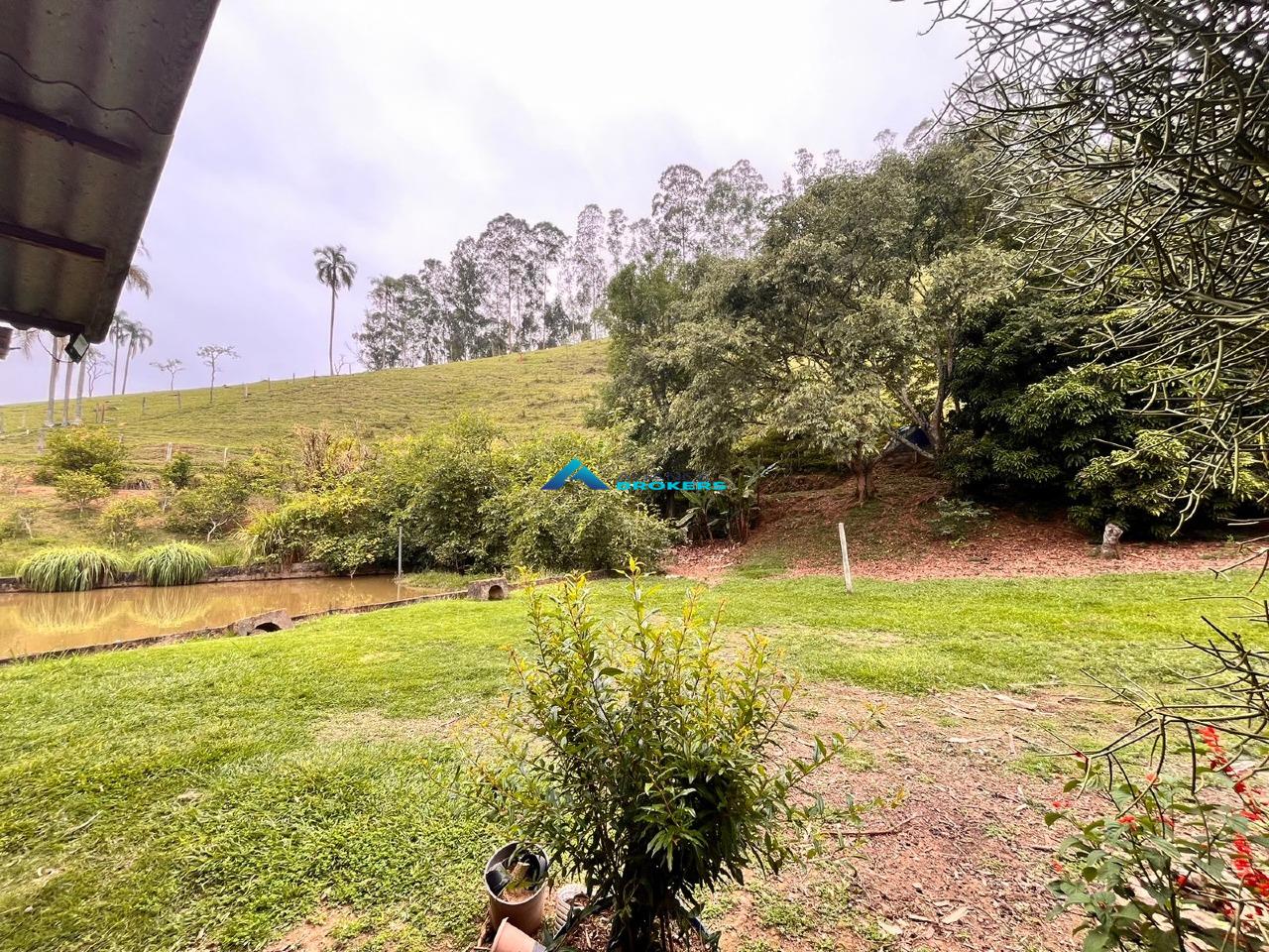 Sítio, 15 hectares - Foto 16