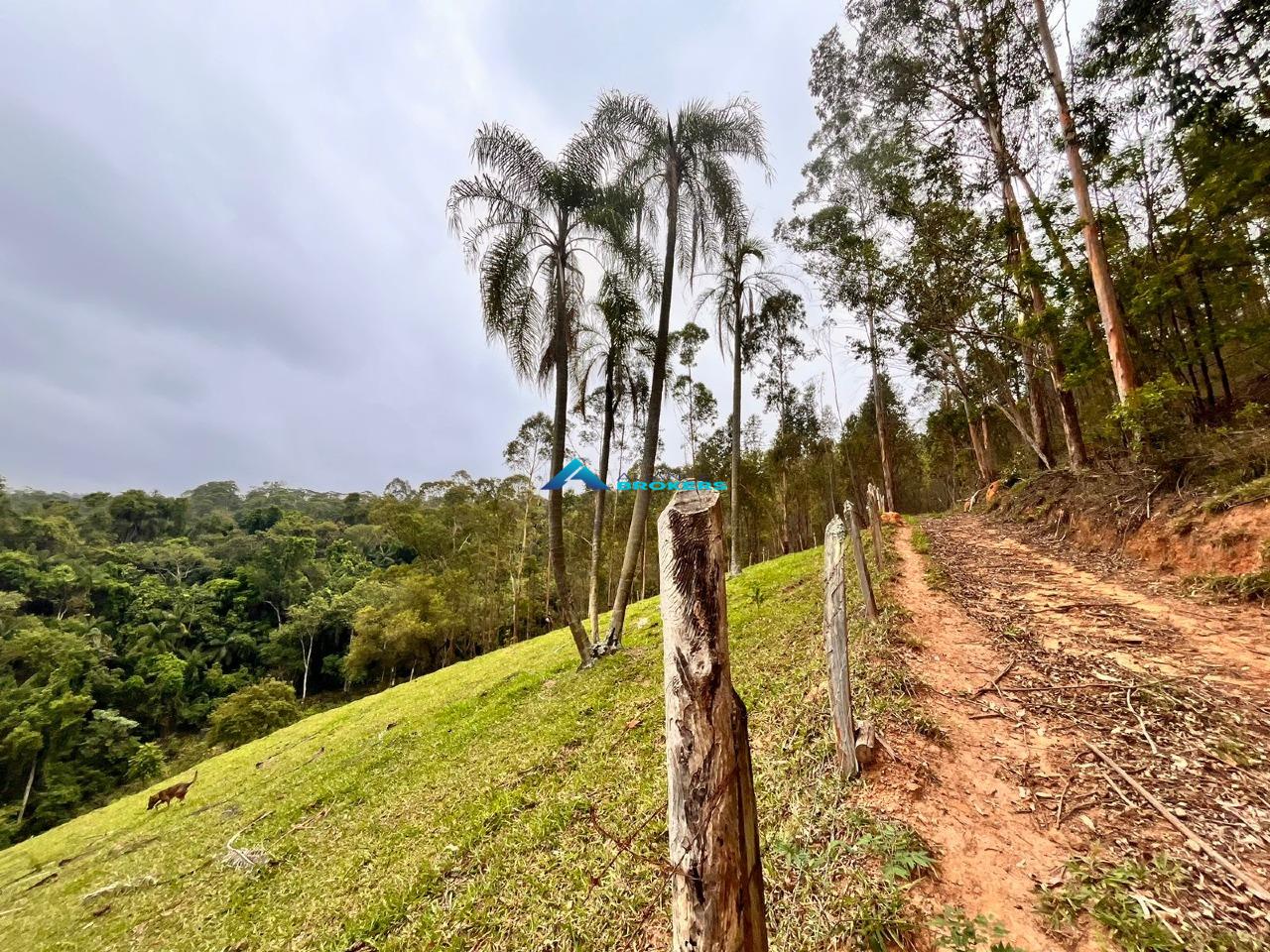 Sítio, 15 hectares - Foto 11