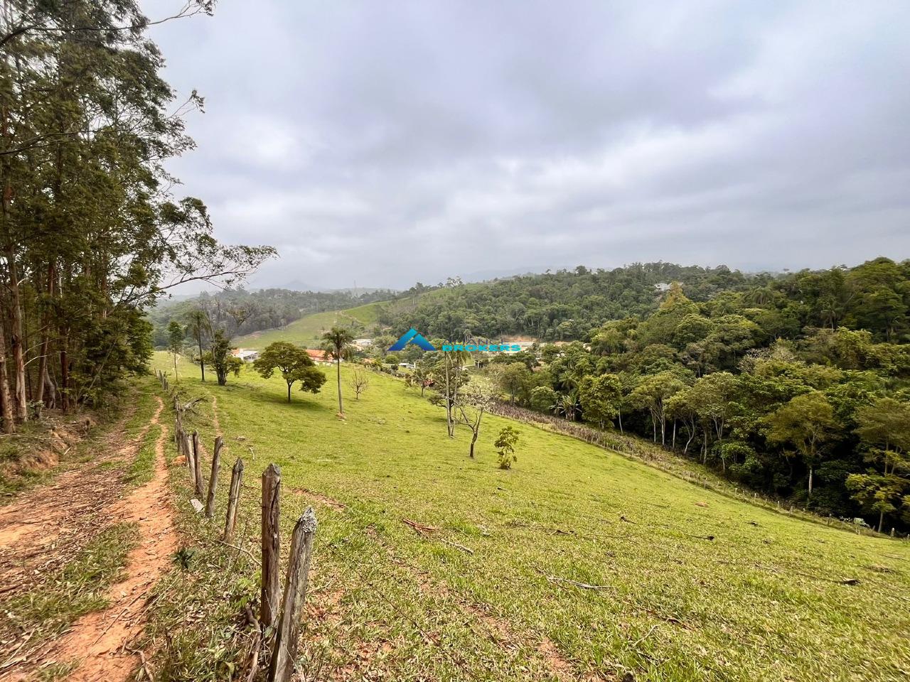 Sítio, 15 hectares - Foto 12