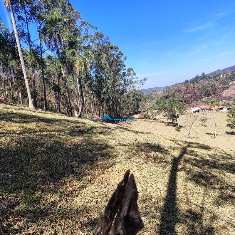 Sítio, 15 hectares - Foto 23