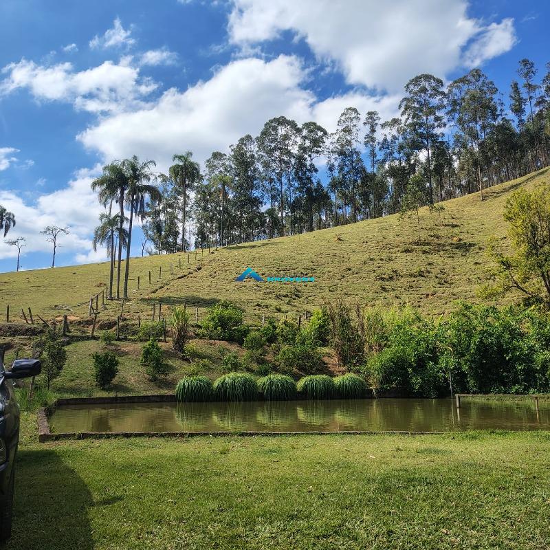 Sítio, 15 hectares - Foto 20