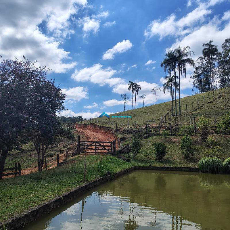 Sítio, 15 hectares - Foto 7