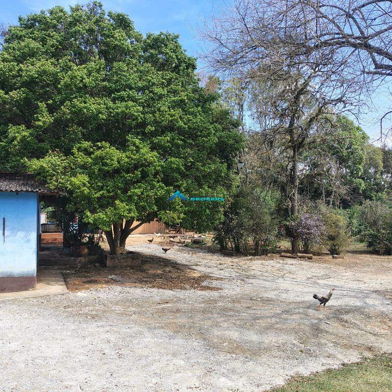 Sítio, 15 hectares - Foto 5