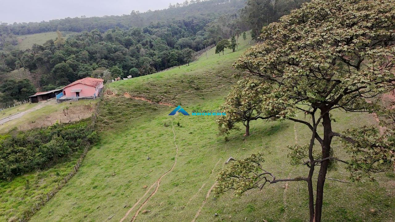 Sítio, 15 hectares - Foto 28