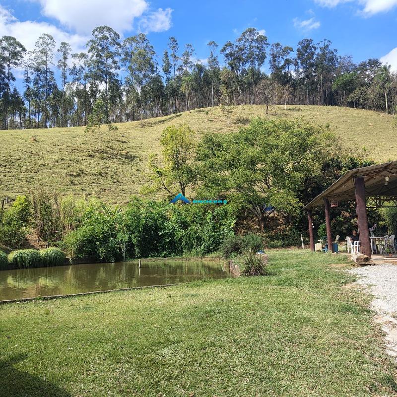 Sítio, 15 hectares - Foto 19