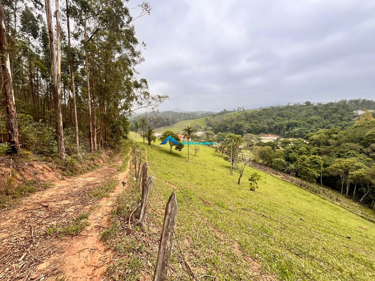 Sítio, 15 hectares - Foto 9