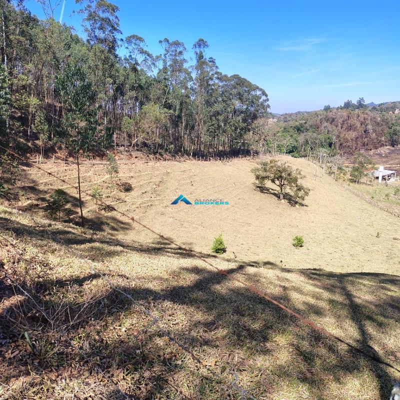 Sítio, 15 hectares - Foto 22