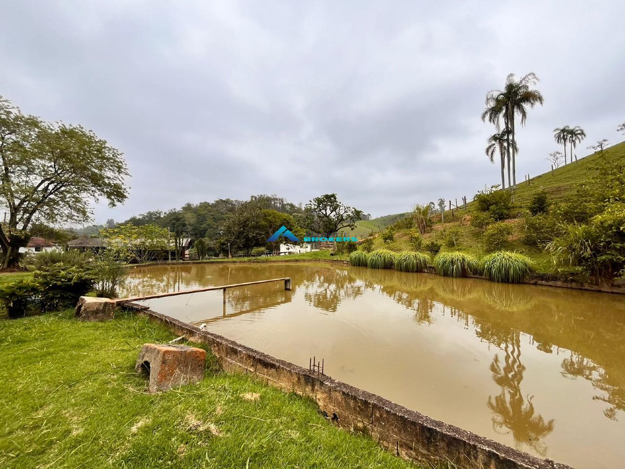 Sítio, 15 hectares - Foto 17