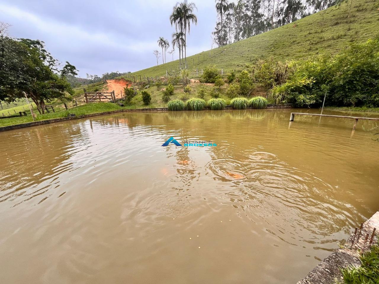 Sítio, 15 hectares - Foto 8